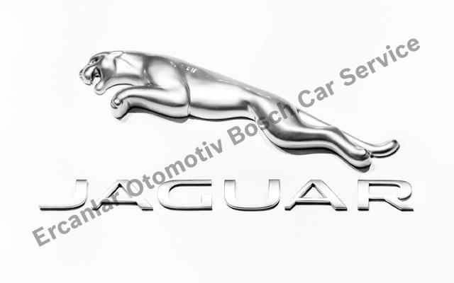 Jaguar Servis