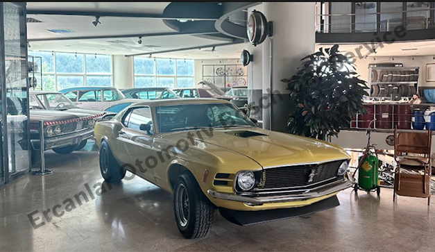 Mustang Servisi